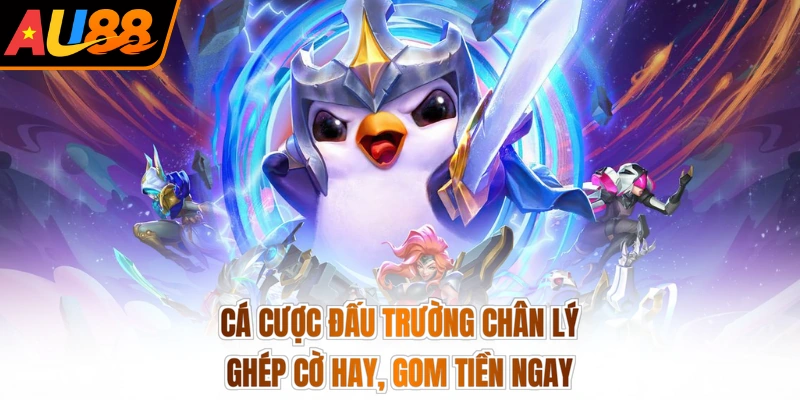 Cá Cược Đấu Trường Chân Lý - Ghép Cờ Hay, Gom Tiền Ngay