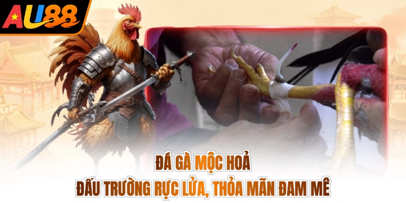 Đá Gà Mộc Hoả - Đấu Trường Rực Lửa, Thỏa Mãn Đam Mê