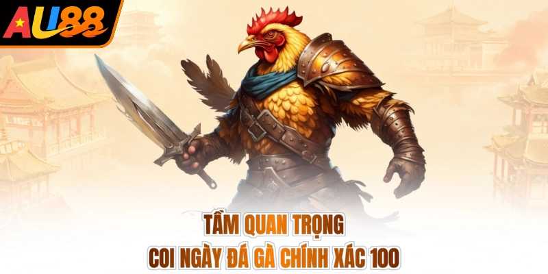 Tầm quan trọng coi ngày đá gà chính xác 100