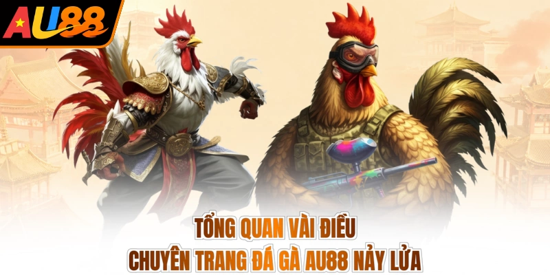 Tổng quan vài điều chuyên trang đá gà AU88 nảy lửa