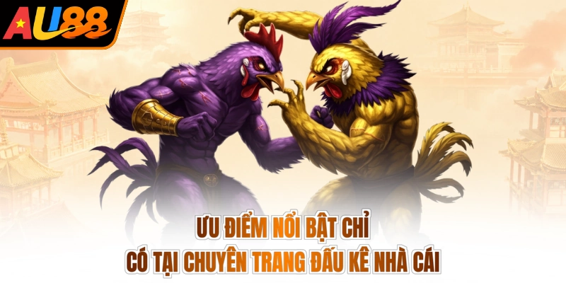 Ưu điểm nổi bật chỉ có tại chuyên trang đấu kê nhà cái